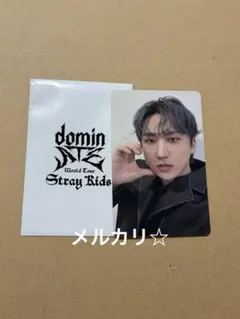 ② StrayKids dominATE 1万円 購入特典トレカ　チャンビン