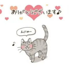 ＊月様　専用＊