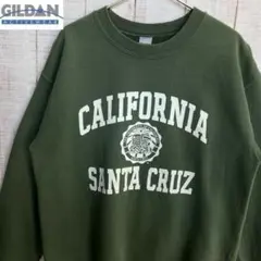 ギルダン　古着　長袖　スウェット 裏起毛　プリント　アメカジ くすみカラー