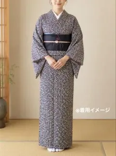 洗える着物 単衣 型染め小紋 幾何学模様のサムネイル