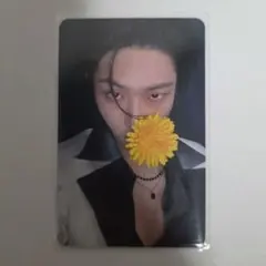 Item thumbnail for item 10ed26ff-df2c-471c-b6d1-95e6fbfbd510