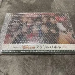 TWICE 쿠지 마지막 상 아크릴 패널