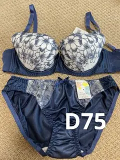 ドルチェフィオラ ブラショーツセット　D75 下着セットのサムネイル