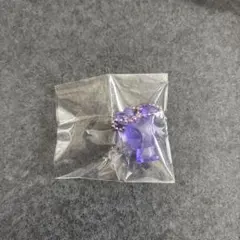 TWICE LOVELYZ グミチャーム サナ