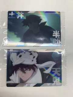 忍たま乱太郎 ツインウエハースの段 其のニ 土井・天鬼 ２枚セット