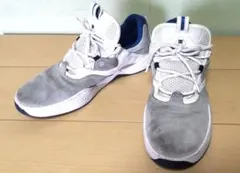 Item thumbnail for item c6e9e5fb-e251-478a-925d-068944121f7e