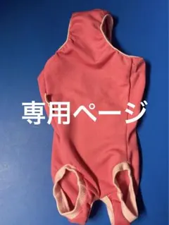 Item thumbnail for item e4fe839a-38c2-4091-ba21-ac7a4da8b156