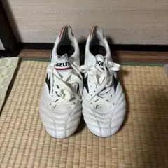 【1せ1様専用】ミズノ　モレリアネオ2 24.0cm