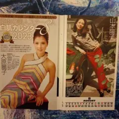 Item thumbnail for item 74f68a9c-c22a-4568-bf58-f64596545a33