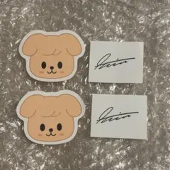 StrayKids ペンミ 落下物 スンミン パミーム SKZOO サイン