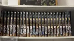 無職転生　異世界行ったら本気出す　理不尽な孫の手 23巻セット　小説のサムネイル