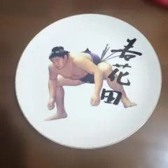 【新品】二子山部屋 陶器皿 貴乃花　若乃花　相撲　お皿 2026年最新】相撲 貴乃花 皿の人気アイテム - メルカリ
