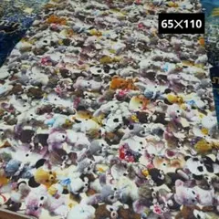 Item thumbnail for item aff58194-3074-4ed8-ab4e-053d96a330a9