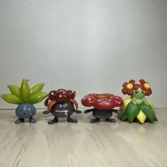モンコレ初期 ヒマナッツ キマワリ TOMY ポケモンフィギュア - メルカリ