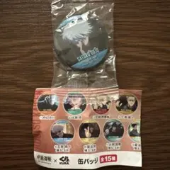 2026年最新】キャラクターグッズ ピンズ・ピンバッジ・缶バッジの人気