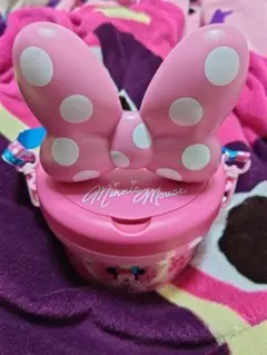 ミニー　ファンダーランド　ポップコーンバケット パルパルーザ　ディズニーランド