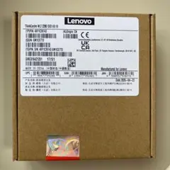 Lenovo ThinkCentre M.2 2280 SSD Kit III