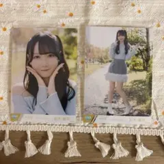 ととと様 リクエスト 2点 まとめ商品