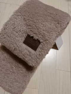 Item thumbnail for item 6865f659-38d1-45dd-ba6b-71f70738de36