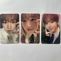 nctwish サクヤ wishlist トレカ セット