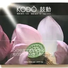 Item thumbnail for item 0a5bf039-9ec4-4ead-ad3d-a022d82ba910