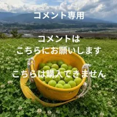 310 ゆうまな様 青梅 Mサイズ 10kg - メルカリ