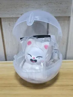 SKZOO ライトマスコット 2種セット