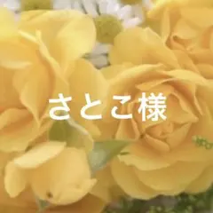 ダッフィー、シェリーメイ用コスチューム