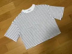 cynical ボーダーTシャツ　ミラオーウェン　スナイデル　フレイアイディー