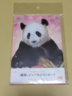 Item thumbnail for item 944fe0e2-c671-4125-975c-78913d8a645b