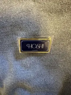 SEVENTEEN ピンズ ホシ ミュージアム