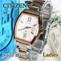 Item thumbnail for item ac111b57-cb64-4d97-87dc-40c2562fa1c7