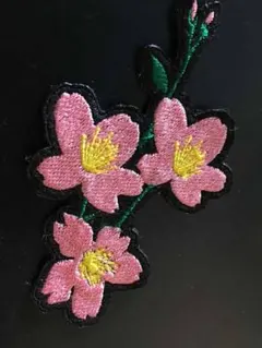 Item thumbnail for item 4bda9820-7cae-48fd-8be2-aa0e40519d81