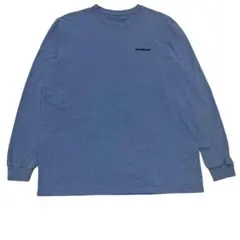 Patagonia バイソンプリント ロンT ブルー L アメカジ古着