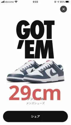 NIKE DUNK low バレリアンブルー