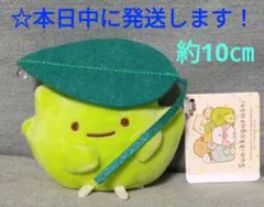 すみっコぐらし　ボールチェーン付き　はっぱであまやどり　ぬいぐるみ 『ざっそう』