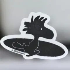 noboru17様 リクエスト 2点 まとめ商品