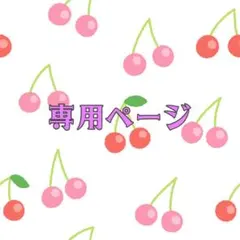 専用ページ