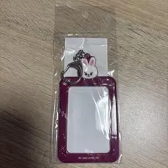 Straykids リービット スキズ カフェ トレカケース