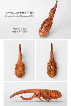 ☆きーちゃん☆様 リクエスト 2点 まとめ商品