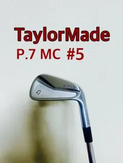 【最終値下げ/即日発送】 TaylorMade STGLOIRE 5番アイアン 最終値下げ/即日発送】 TaylorMade STGLOIRE 5番アイアン 楽天