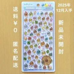 新品 ボンボンドロップシール mini ミニ しずくちゃん 正規品 クーリア
