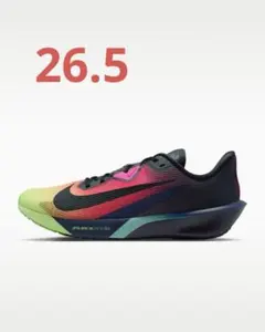 新品・箱付き ナイキ NIKE ランニングシューズ 陸上 ジョギング ロード 