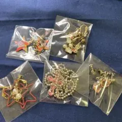 イヤリング　ネックレス