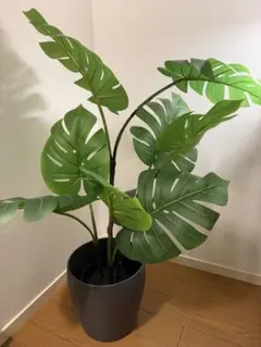 【鉢付き】IKEA フェイクグリーン・人工観葉植物のサムネイル