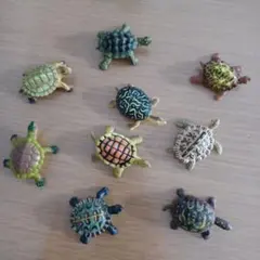 亀フィギュア　9体セット　新品