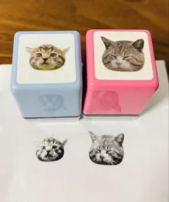 2026年最新】岩合光昭 スタンプの人気アイテム - メルカリ
