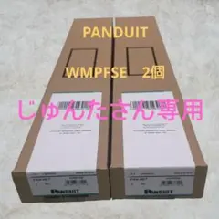 PANDUIT WMPFSE ( ケーブルマネージャー)新品２個セットのサムネイル