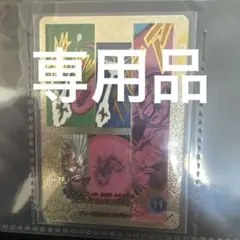 ドラゴンボールアドバンスパックスーパーパラレルフリーザ専用品