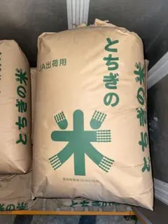 カズ様　専用のサムネイル